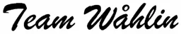 Team Wåhlin – varumärke, Team Wåhlin Group AB