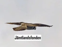 Jämtlandsfonden – varumärke, Transecure Aktiebolag