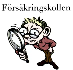 Försäkringskollen – varumärkesbild för Ekonomi & Försäkringsmäklarna Grimberg & Olsson Handelsbolag