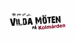 Vilda möten på Kolmården – varumärkesbild för Kolmårdens Djurpark AB