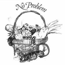 NOPROBLEM NO PROBLEM HB – varumärke, No Problem Aktiebolag