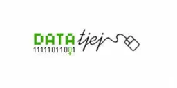 DataTjej 11111011001 – varumärkesbild för DATATJEJ