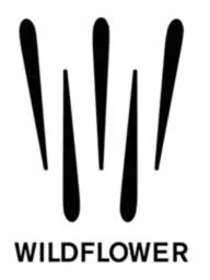 WILDFLOWER – varumärke, Nordic Footwear AB