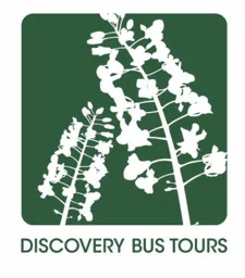 DISCOVERY BUS TOURS – varumärkesbild för Stockholm Discovery AB