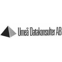 UMEÅ DATAKONSULTER AB – varumärkesbild för Ariser AB