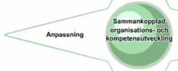 Anpassning Sammankopplad organisations- och kompetensutveckling – varumärkesbild för BRT Panorama Competence AB