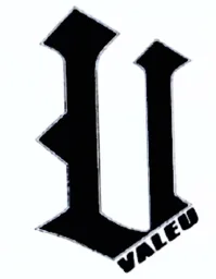 V VALEU – varumärkesbild för Valeu AB