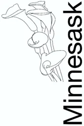 Minnesask – varumärke, Absentis AB