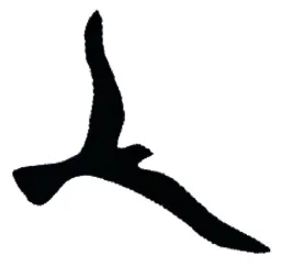 Figurmärke – varumärke, Woods Professional AB