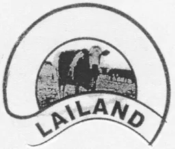 LAILAND – varumärkesbild för M & T Company AB