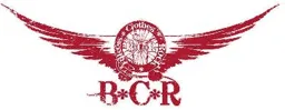 BCR Bikes Clothes Rock – varumärkesbild för Lilla Bolaget i Sverige AB