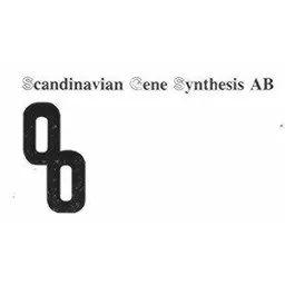 SCANDINAVIAN GENE SYNTHESIS – varumärkesbild för QIAGEN DNA Synthesis AB
