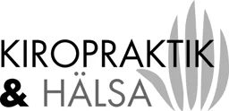 KIROPRAKTIK & HÄLSA – varumärke, Malmborgen Aktiebolag