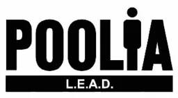 POOLIA L.E.A.D. – varumärkesbild för PION Group AB (publ)