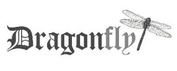 Dragonfly – varumärkesbild för Specialmekaniska i Växjö AB