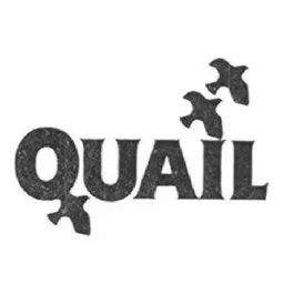 QUAIL – varumärkesbild för Paradox Marketing Aktiebolag