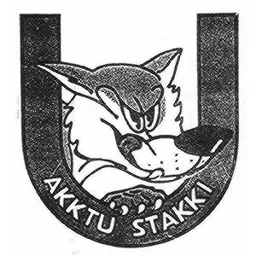 AKKTU STAKKI – varumärkesbild för FÖRENINGEN AKKTU STAKKI