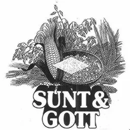 FINAX SUNT & GOTT – varumärkesbild för Finax Aktiebolag