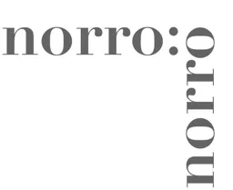 norro: norro – varumärkesbild för Norrö Management AB