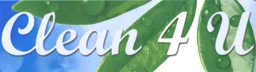 Clean 4 U – varumärke, Service 4 You Sweden AB