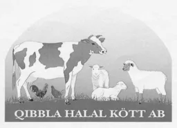 QIBBLA HALAL KÖTT AB – varumärkesbild för Qibbla Halal Kött AB