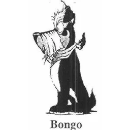BONGO – varumärke, Coop Mitt AB