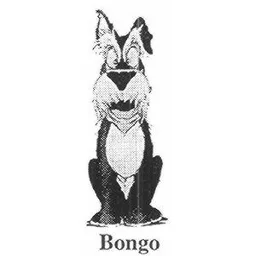 BONGO – varumärke, Coop Mitt AB