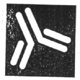 Figurmärke – varumärke, Fujirebio Diagnostics AB