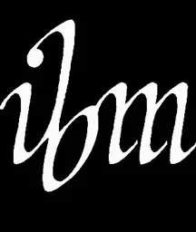 ibm – varumärkesbild för Ninta AB