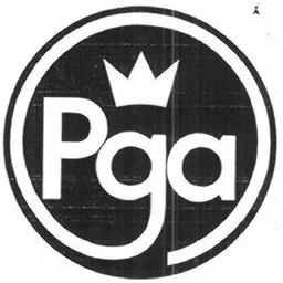 PGA – varumärkesbild för PROFESSIONAL GOLFERS' ASSOCIATION OF SWEDEN