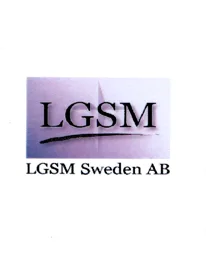 LGSM Sweden AB – varumärkesbild för LGSM Sweden AB