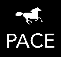 PACE – varumärkesbild för Gottebiten en gros AB