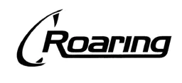 Roaring – varumärkesbild för Roaring Group AB