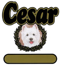 CESAR – varumärkesbild för Mars Sverige AB