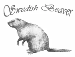 Swedish Beaver – varumärkesbild för Vansbroäventyr AB
