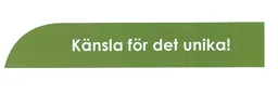 Känsla för det unika! – varumärkesbild för Hansson Thyresson AB
