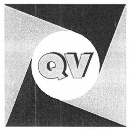 QV – varumärkesbild för QlikTech International AB