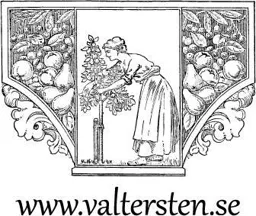 www.valtersten.se – varumärkesbild för Valterstens El och Lantbruk AB