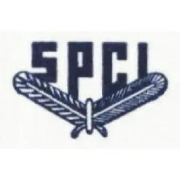 SPCI – varumärkesbild för SVENSKA PAPPERS- O CELLULOSAINGENJÖRSFÖRENINGEN