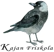 Kajan Friskola – varumärkesbild för Kajan anpassad grund- och gymnasieskola AB