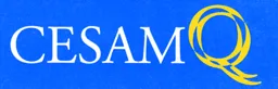 CESAMQ – varumärkesbild för CESAMQ Concept of Educational Standards for Medical qigong AB