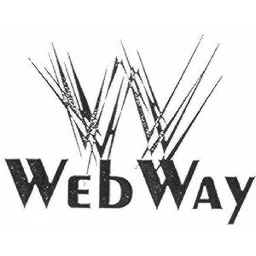 WEB WAY – varumärkesbild för Wellew AB