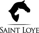 SAINT LOYE – varumärkesbild för Good Luck Club AB