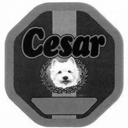CESAR – varumärkesbild för Mars Sverige AB