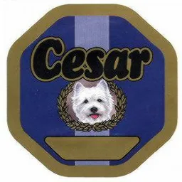 CESAR – varumärkesbild för Mars Sverige AB