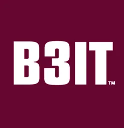 B3IT – varumärkesbild för B3 Consulting Group AB (publ)