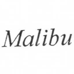 Malibu – varumärke, Arjo IP Holding Aktiebolag