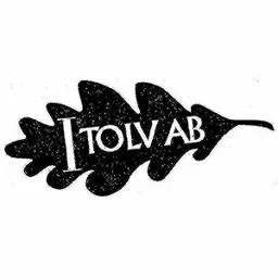 I TOLV AB – varumärkesbild för ITOLV AB