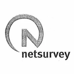 NETSURVEY – varumärkesbild för Brilliant Future AB