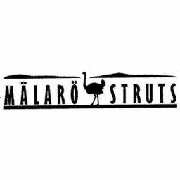 MÄLARÖ STRUTS – varumärkesbild för Spannfod Aktiebolag